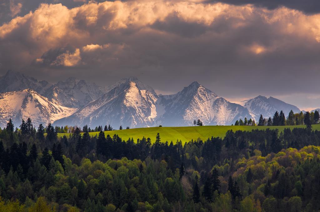Górski Eden Czorsztyn Exterior foto